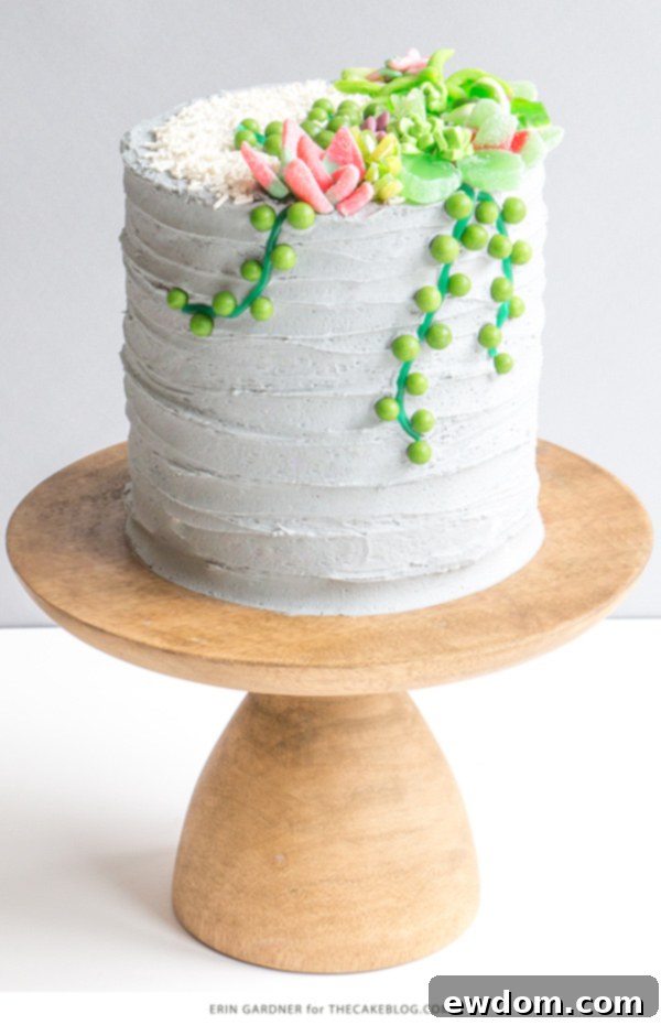 Candy Succulent Cake - how to make a succulent cake with edible candy succulents | by Erin Gardner for TheCakeBlog.com