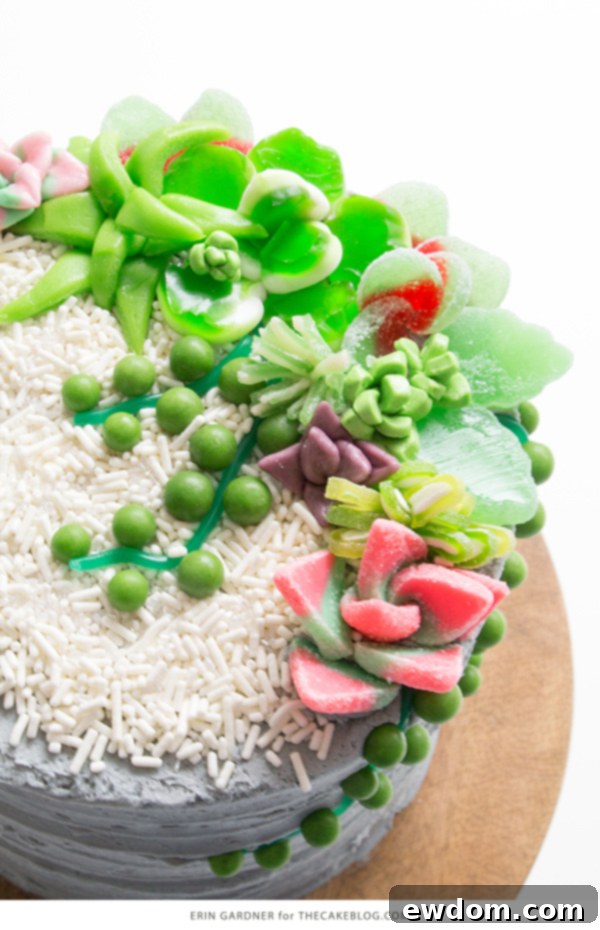 Candy Succulent Cake - how to make a succulent cake with edible candy succulents | by Erin Gardner for TheCakeBlog.com