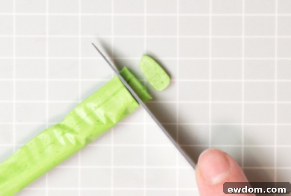 Candy Succulent Cake - how to make a succulent cake with edible candy succulents | by Erin Gardner for TheCakeBlog.com