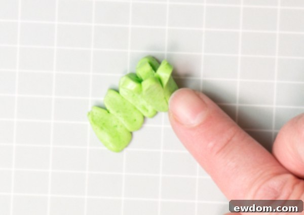 Candy Succulent Cake - how to make a succulent cake with edible candy succulents | by Erin Gardner for TheCakeBlog.com