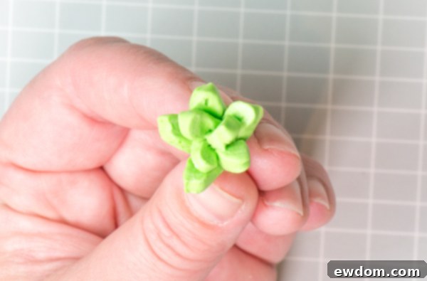 Candy Succulent Cake - how to make a succulent cake with edible candy succulents | by Erin Gardner for TheCakeBlog.com