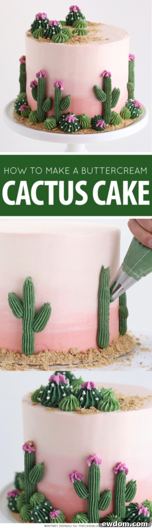 Desert Bloom Delight 2 Cactus Cake - how to make a cactus themed cake with ombrè buttercream, edible sand and piped buttercream cacti | by Whitney DePaoli for TheCakeBlog.com