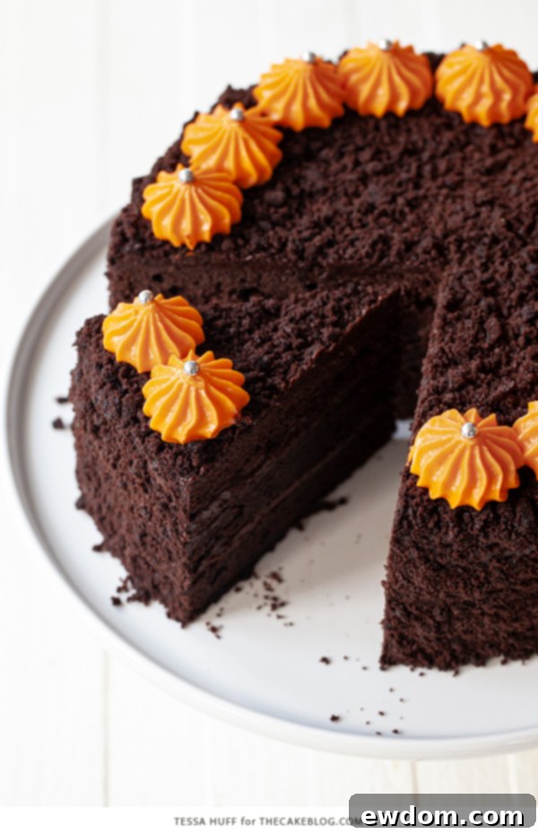 Legendary Brooklyn Chocolate Blackout 4 Detailed view of Brooklyn Blackout Cake layers and the luxurious chocolate pudding frosting