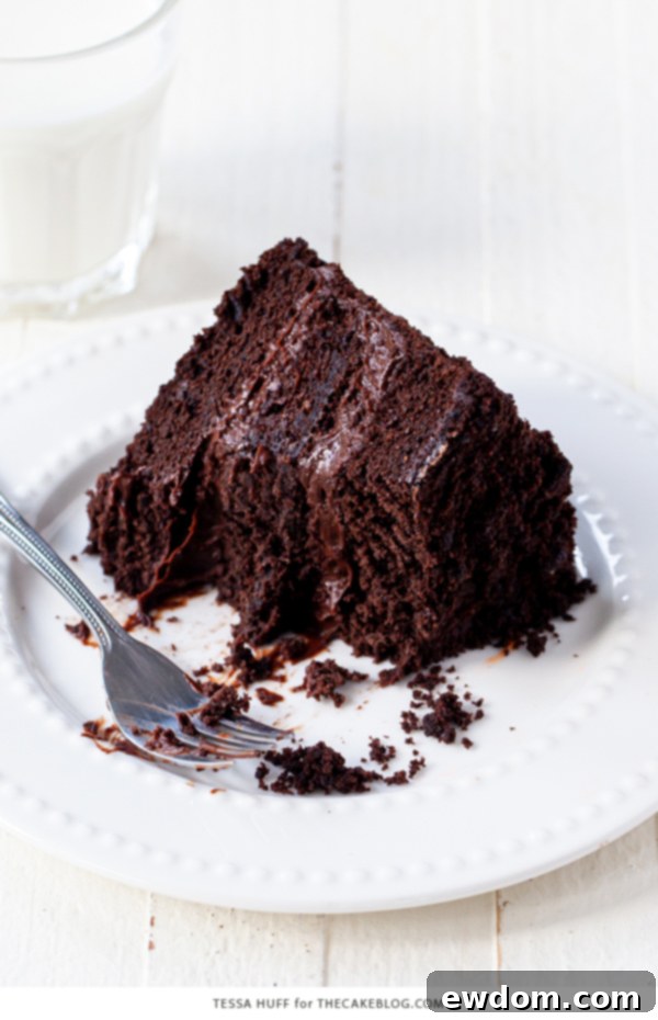 Legendary Brooklyn Chocolate Blackout 6 Close-up of Brooklyn Blackout Cake showing textured crumb coating and optional buttercream piping