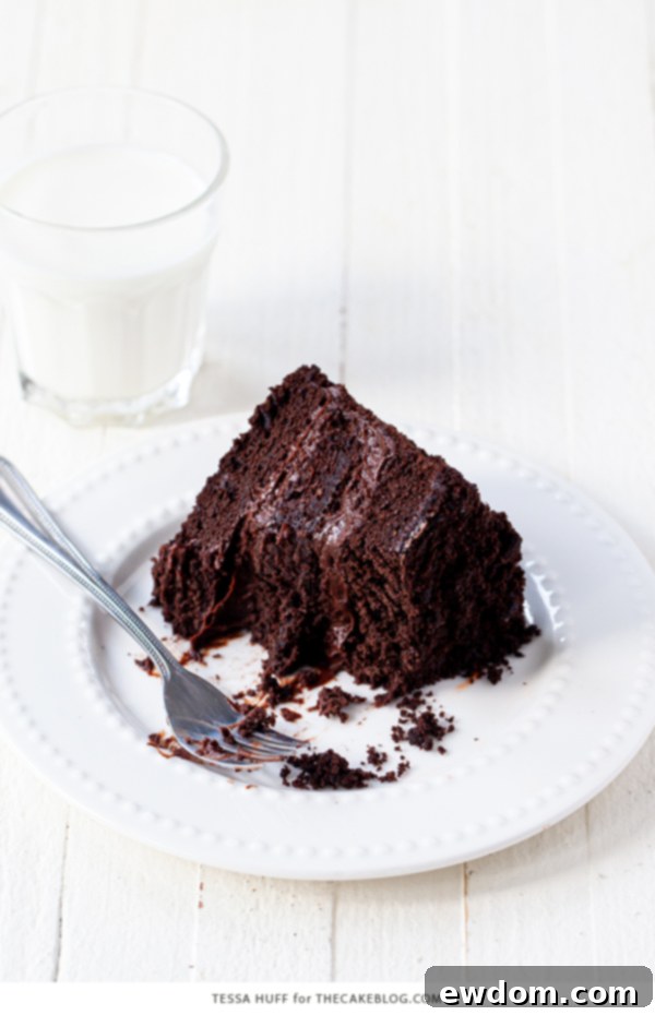 Legendary Brooklyn Chocolate Blackout 9 Side view of the impressive Brooklyn Blackout Cake with its iconic crumb coating