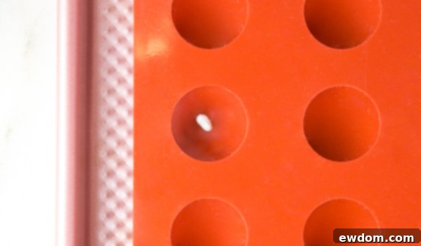 Gazing Chocolate Blossom 10 Chocolate Eyeball Flower - how to make a creepy black chocolate flower with an edible eyeball center | by Erin Gardner for TheCakeBlog.com