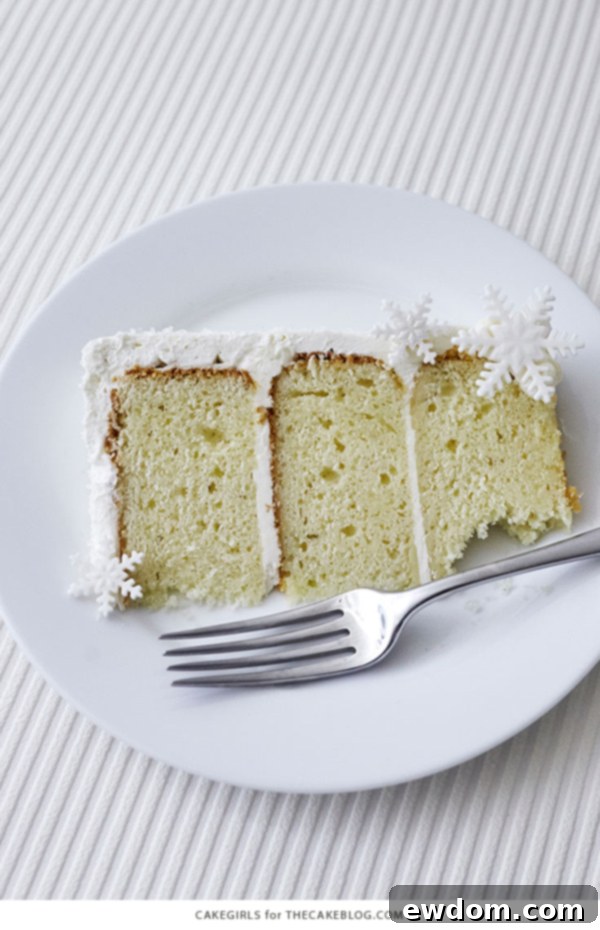 Enchanted Snowflake Cake 5 Overhead shot of the Winter Wonderland Snowflake Cake with pine trees and sugar crystals