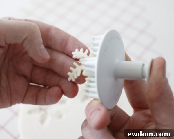 Enchanted Snowflake Cake 8 Using a snowflake plunger cutter on white fondant