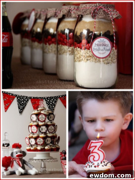 Sock Monkey Birthday Party Sock Monkey Themed Party Favors