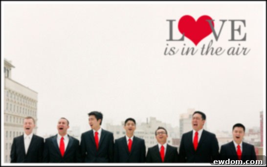 Modern Black & Red Valentine's Wedding Modern Black & Red Valentine's Wedding