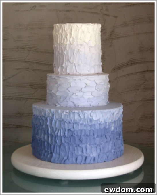Ombre Cake by Whipped Bake Shop