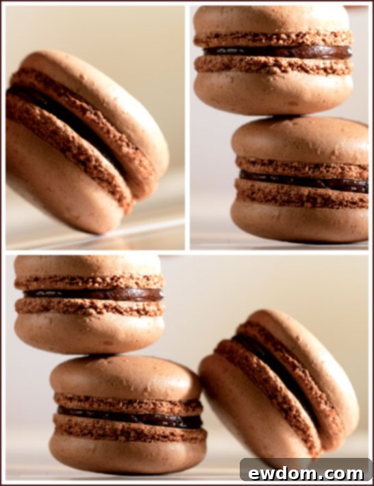 Exquisite Chocolate Macarons by Barry Callebaut, showcasing perfect 'feet' and a rich cocoa color.