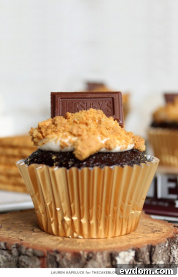 Delicious S'mores Cupcakes featuring chocolate cake, marshmallow buttercream, and graham cracker topping. Perfect for any celebration.
