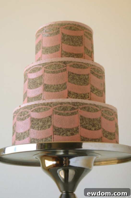 Entremet Cakes: Culinary Innovation 3 Graphic Entrement Cake by MRobin | TheCakeBlog.com