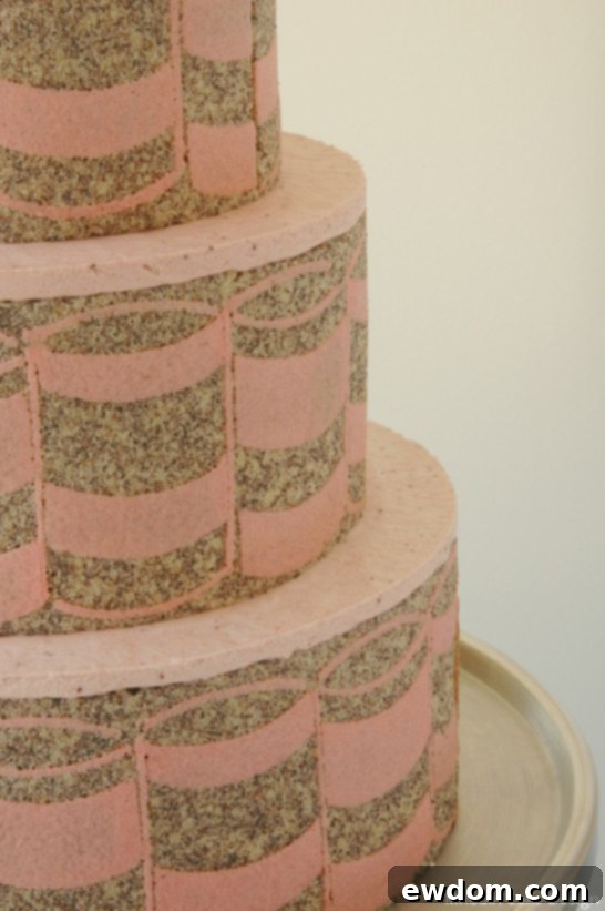 Entremet Cakes: Culinary Innovation 4 Graphic Entrement Cake by MRobin | TheCakeBlog.com