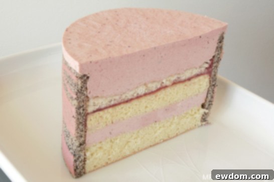 Entremet Cakes: Culinary Innovation 5 Graphic Entrement Cake by MRobin | TheCakeBlog.com