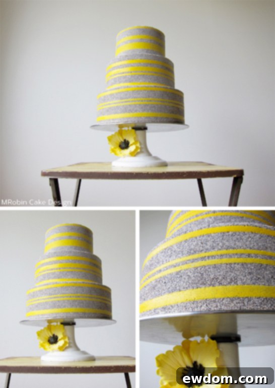 Entremet Cakes: Culinary Innovation 6 Graphic Entrement Cake by MRobin | TheCakeBlog.com