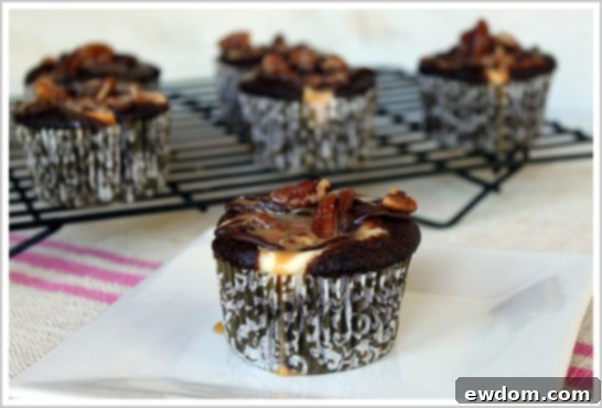 Decadent Chocolate Cheesecake Turtle Cupcake Recipe with caramel and pecans
