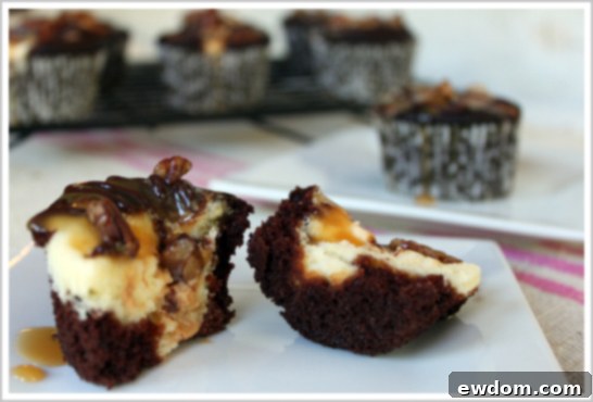 Chocolate Cheesecake Turtle Cupcake with rich caramel and chocolate drizzle
