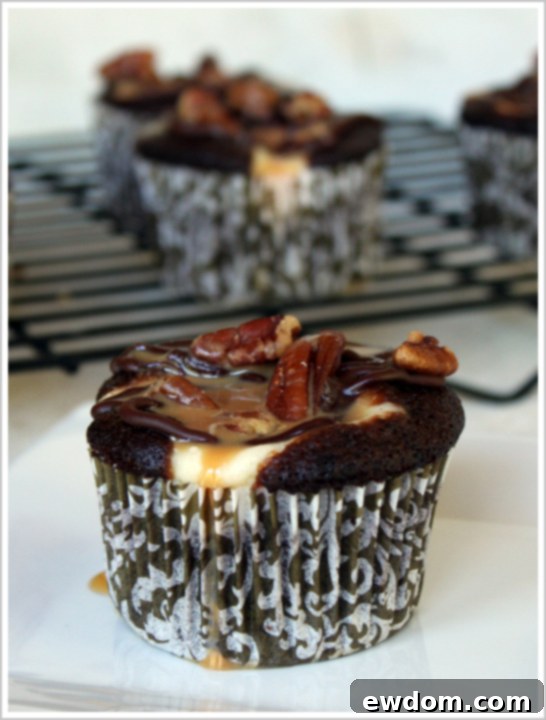 Array of finished Chocolate Cheesecake Turtle Cupcakes, ready to be enjoyed