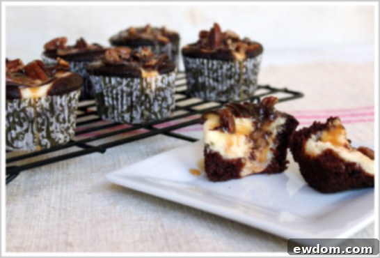 Chocolate Cheesecake Turtle Cupcake with creative topping ideas in mind