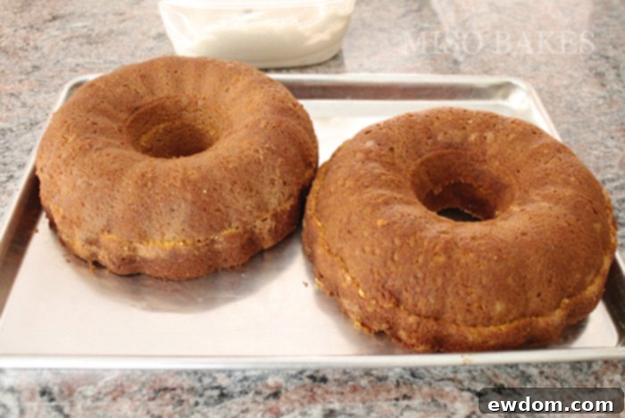 Autumn Hearth Pumpkin Bundt 6 Perfectly cooled bundt cake layers ready for torting and filling with chocolate ganache