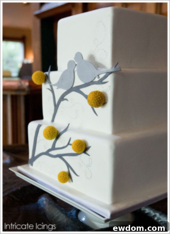 Billy Balls and Birds Cake