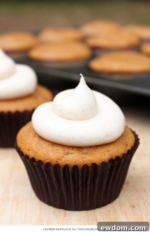 Spiced Pumpkin Delights 2 Irresistible Pumpkin Cupcakes with Swirls of Cinnamon Cream Cheese Frosting