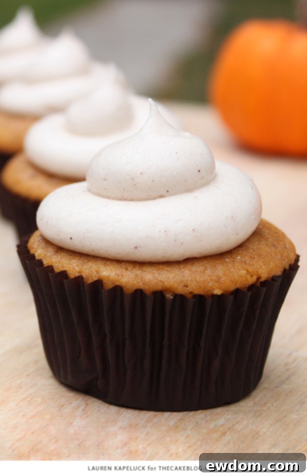 Spiced Pumpkin Delights 5 A tray of pumpkin cupcakes with cinnamon cream cheese frosting, ready to be served