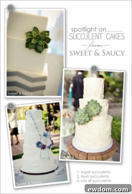 Elegant Succulent Wedding Cake by Sweet & Saucy Succulent Cakes by Sweet & Saucy Shop featuring elegant green sugar succulents on a white tiered cake for a modern wedding.