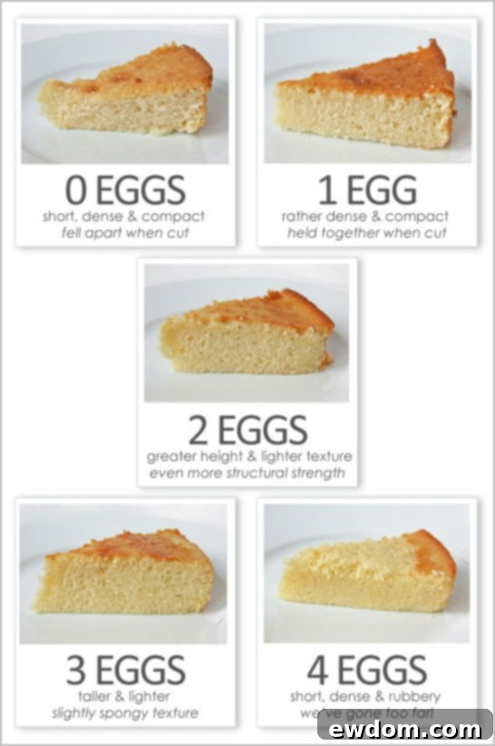 Eggs-actly Perfect Holiday Baking - Close-up of different cake layers, demonstrating varied textures based on egg count.
