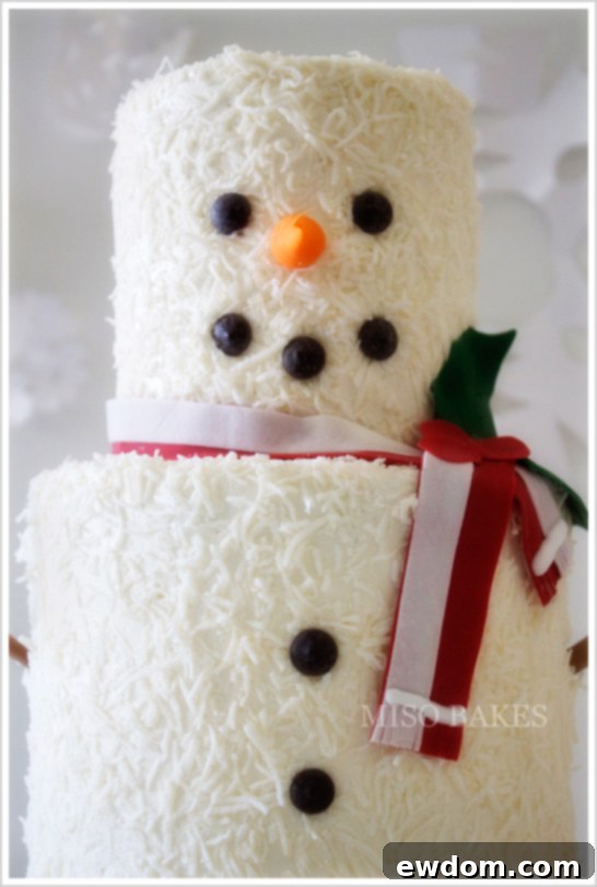 Easy DIY Snowman Cake | by Miso Bakes - Snowman Cake Decorated