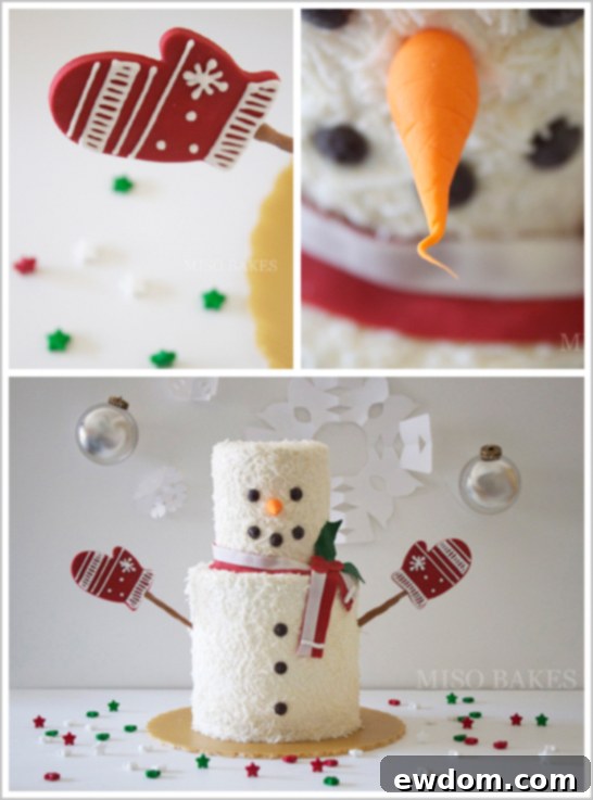 Easy DIY Snowman Cake | by Miso Bakes - Snowman Cake Close Up