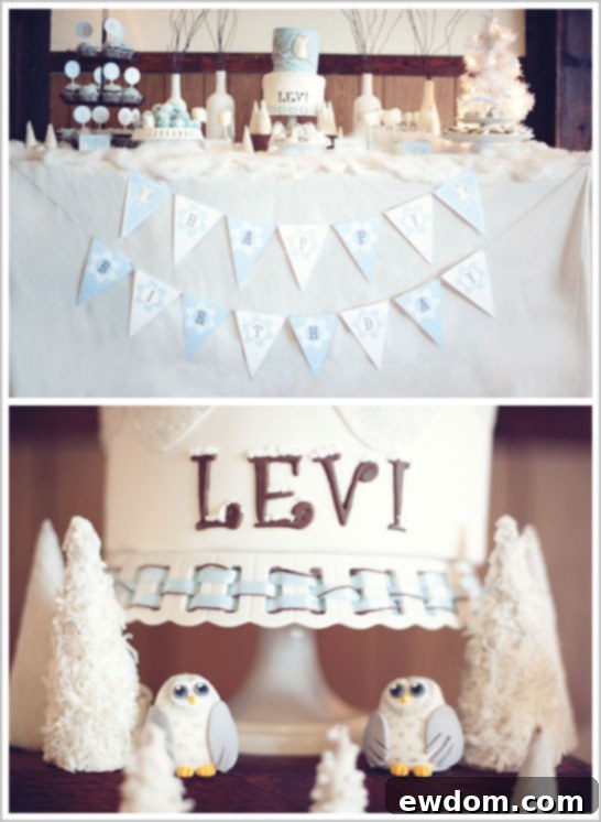 Snow Owl First Birthday Party