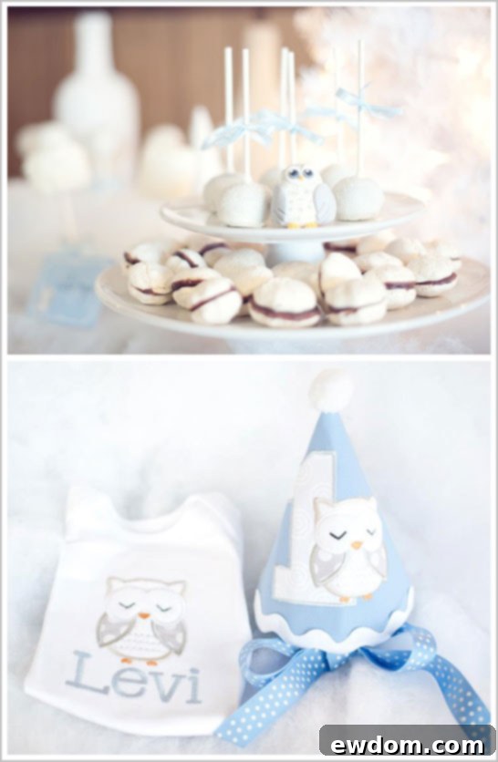 Snow Owl First Birthday Party