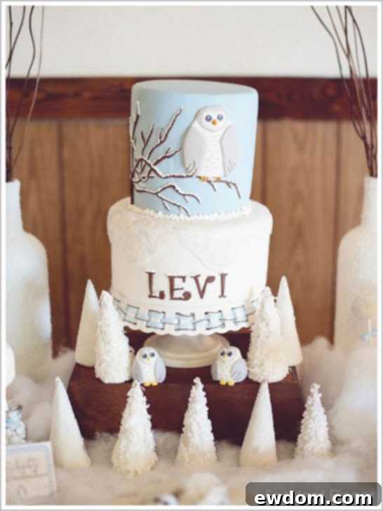 Snow Owl First Birthday Cake by Fondant Flinger