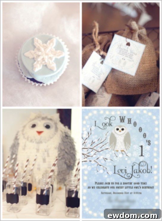 Snow Owl First Birthday Party by Fondant Flinger