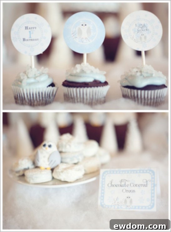 Snow Owl First Birthday Party